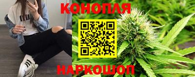 стаф Заводоуковск