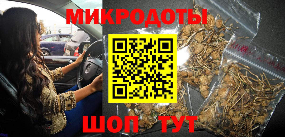 Галлюциногенные грибы Psilocybine cubensis  Вход с VPN  Галлюциногенные грибы Psilocybe  Медногорск 