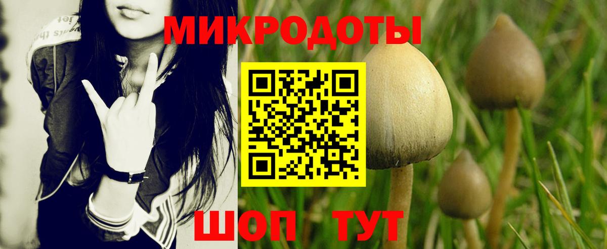 Галлюциногенные грибы Cubensis Медногорск